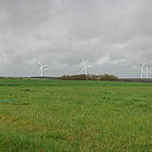 Le projet éolien de Bridoré reprend son instruction